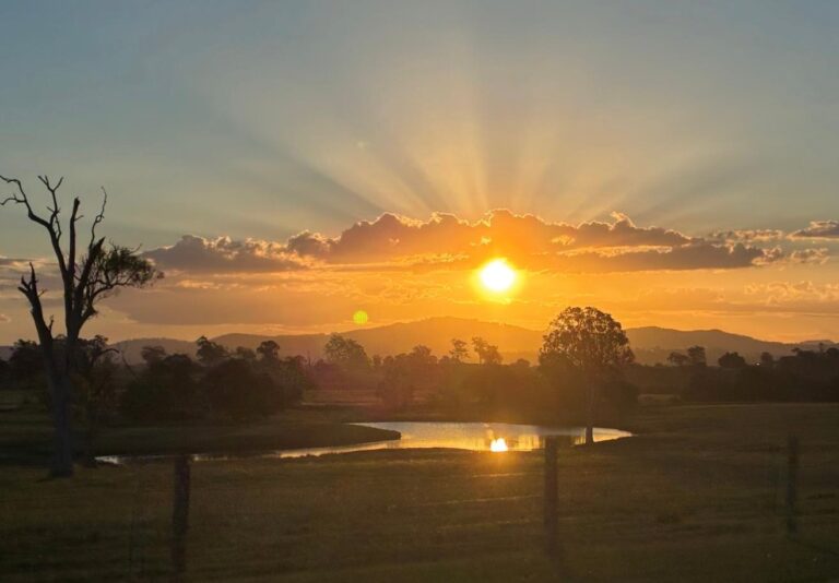 sunset